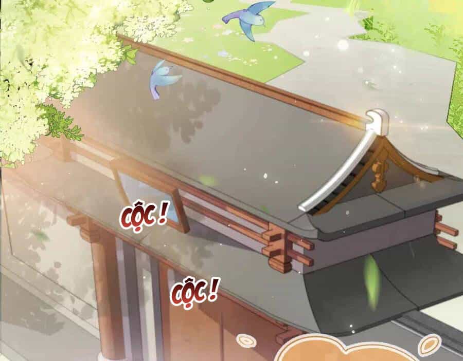 Nhặt Được Bảo Bối Manh Manh - Chương 5 - ảnh 8
