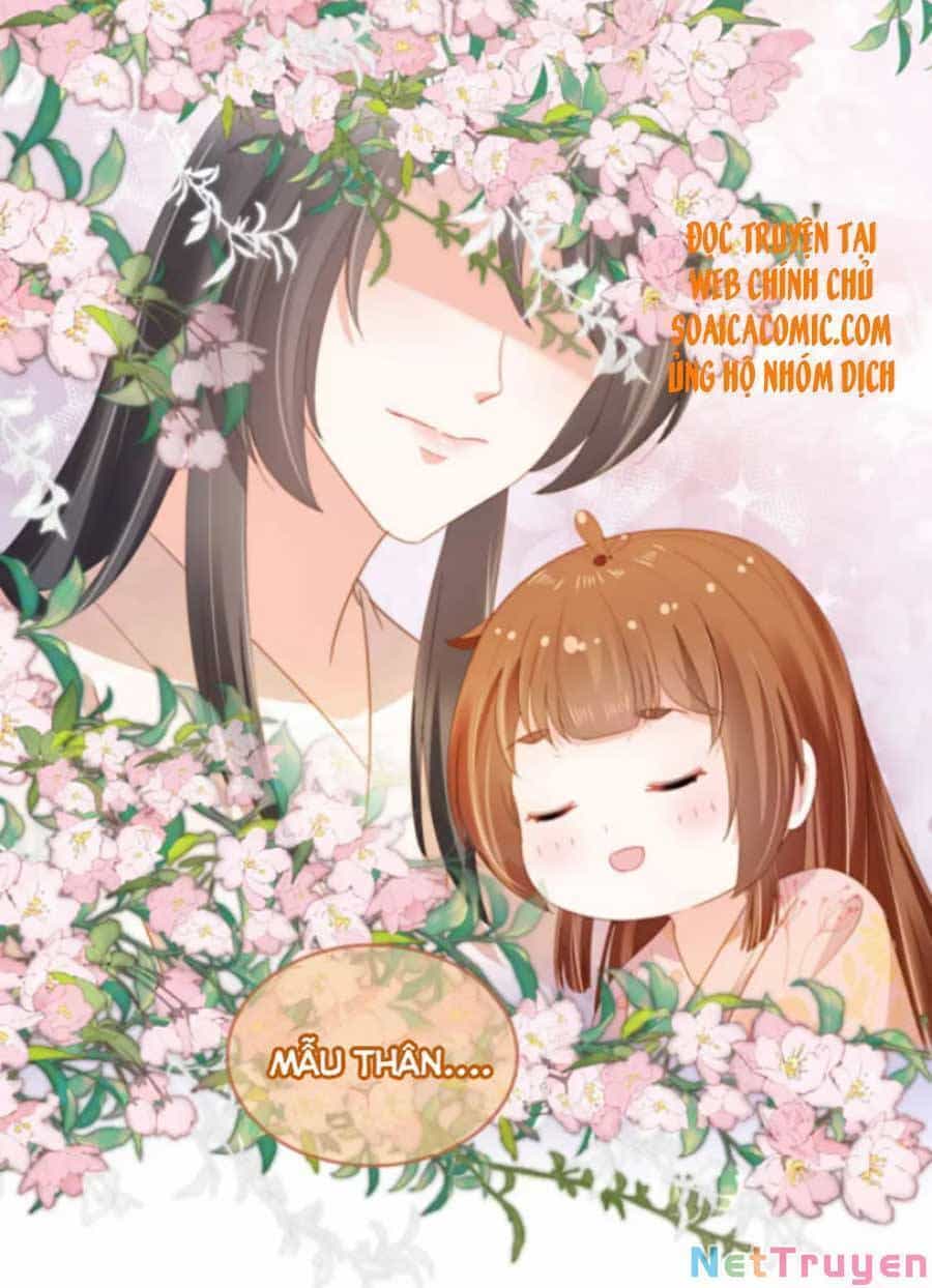 Nhặt Được Bảo Bối Manh Manh - Chương 73 - ảnh 17