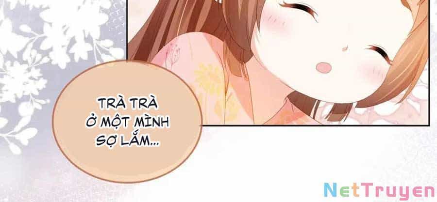 Nhặt Được Bảo Bối Manh Manh - Chương 75 - ảnh 16