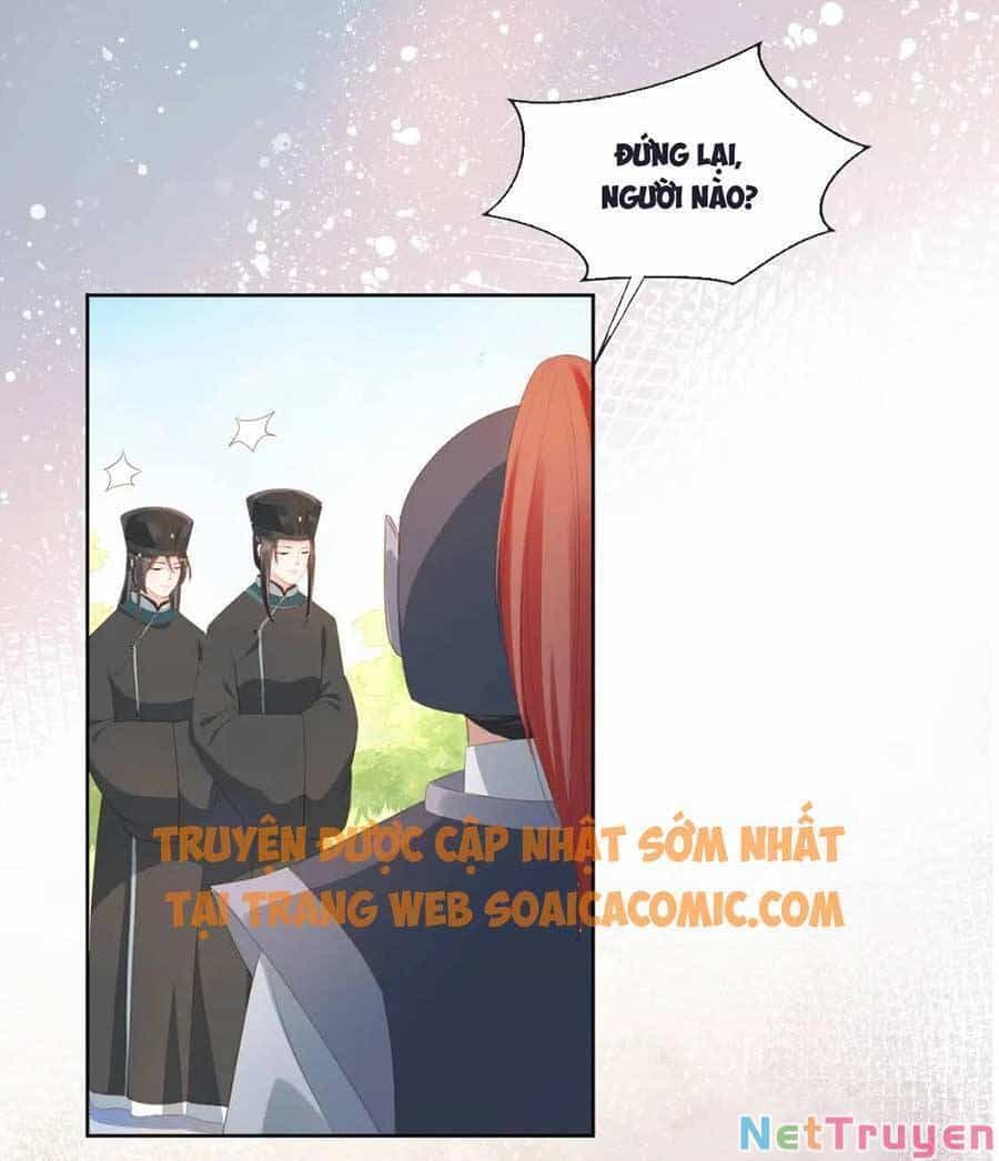 Nhặt Được Bảo Bối Manh Manh - Chương 75 - ảnh 23