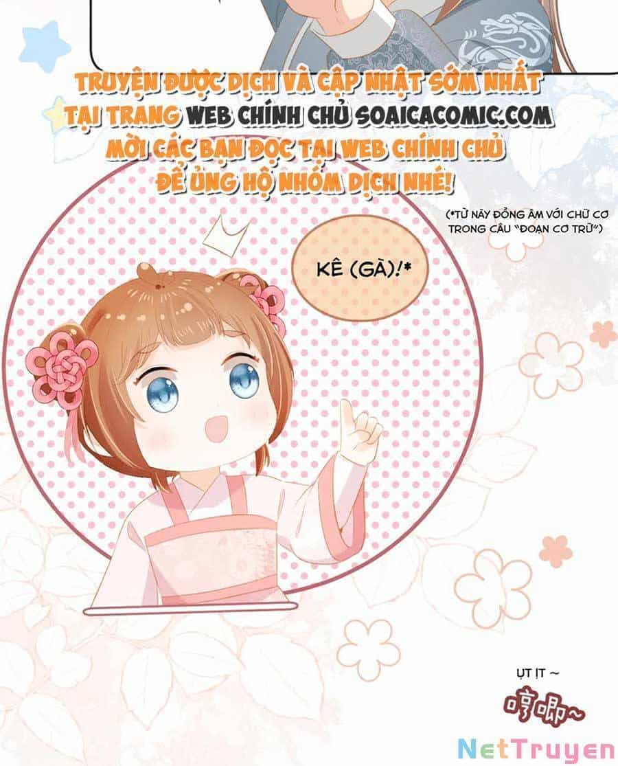 Nhặt Được Bảo Bối Manh Manh - Chương 85 - ảnh 22