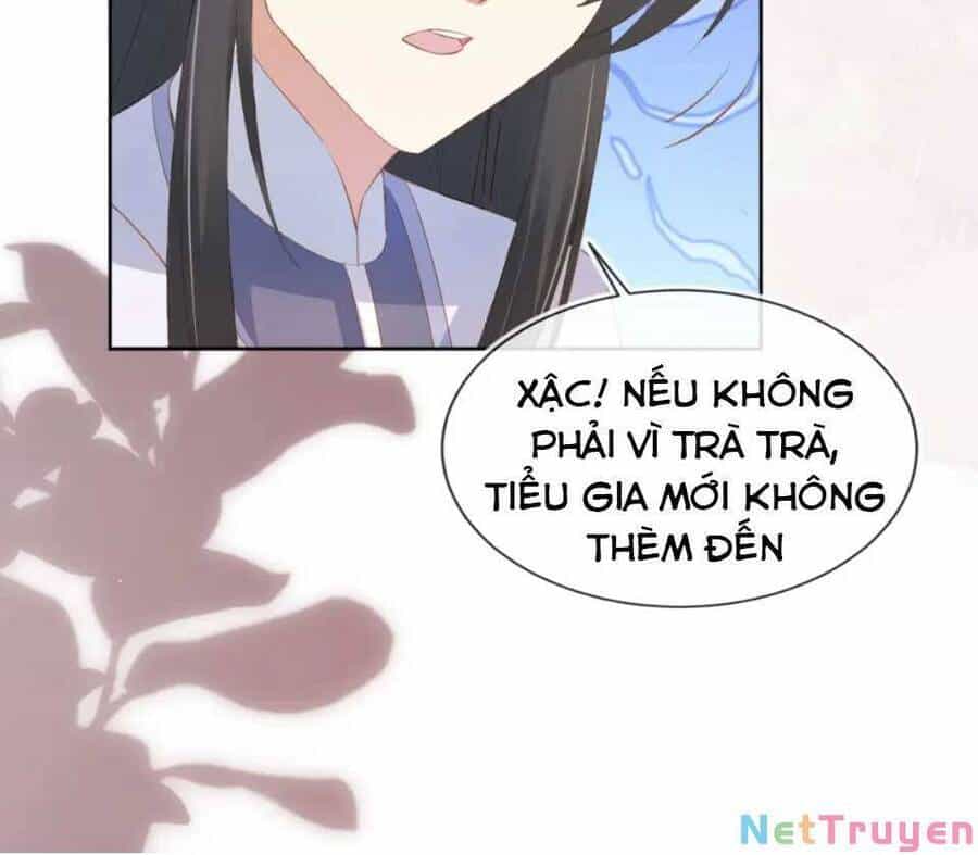 Nhặt Được Bảo Bối Manh Manh - Chương 94 - ảnh 29