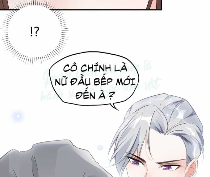 Nhật Kí Mưu Sinh Của Tra Nữ - Chương 12 - ảnh 33