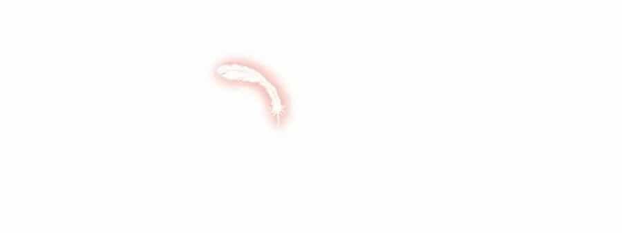 Nhật Ký Dạy Dỗ Của Gia Tộc Đáng Yêu - Chương 73 - ảnh 83