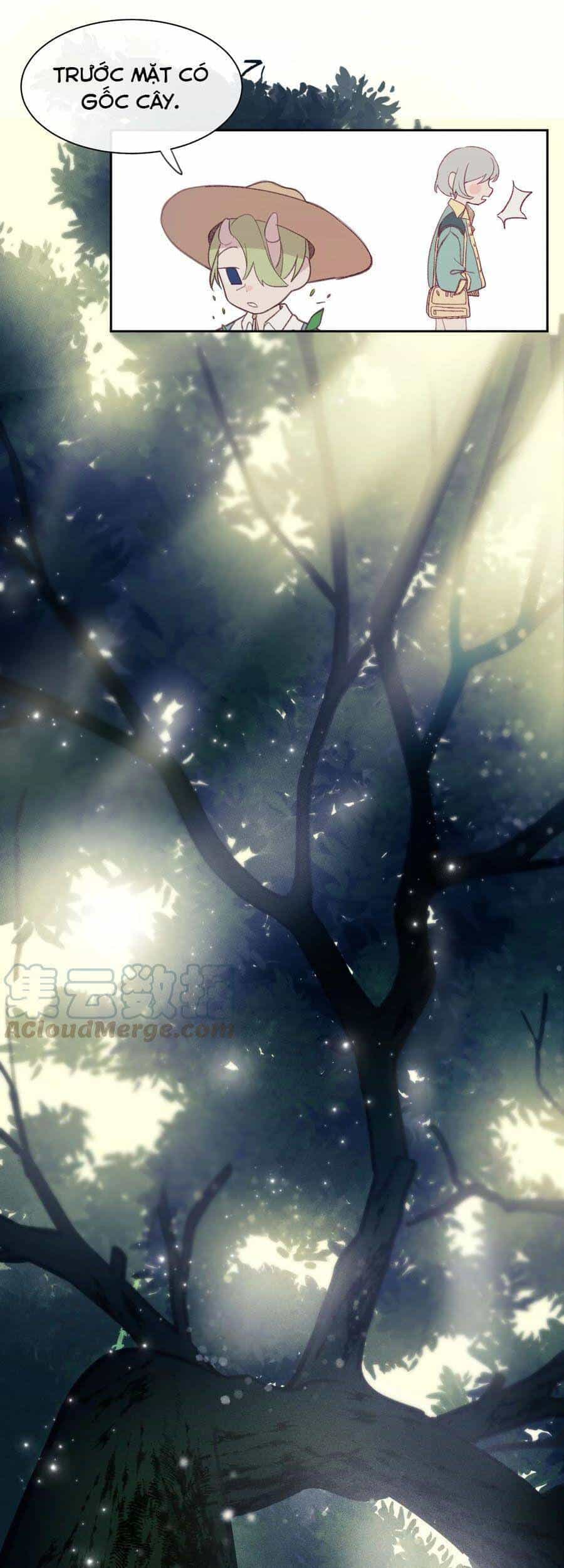 Nhật Ký Nấm Ma Cô - Chương 10 - ảnh 17