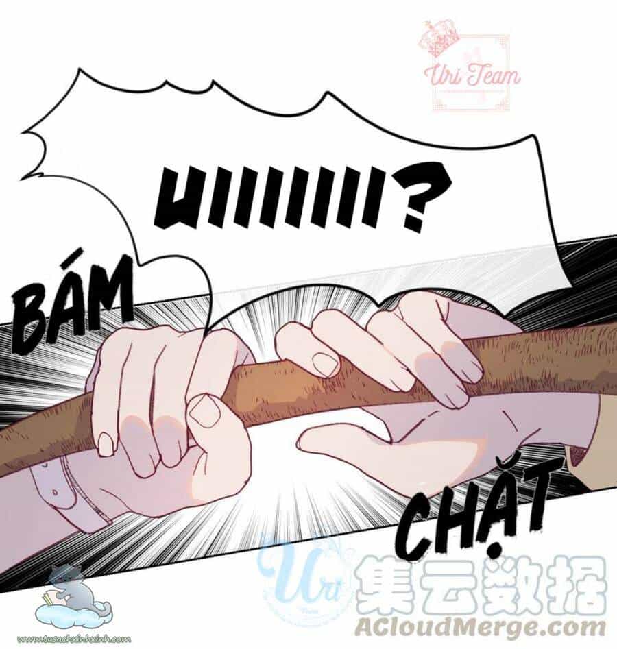 Nhật Ký Nấm Ma Cô - Chương 13 - ảnh 10