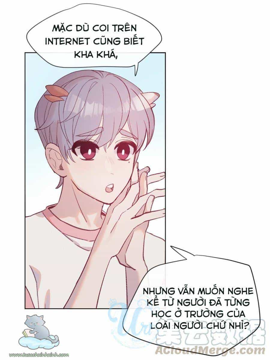 Nhật Ký Nấm Ma Cô - Chương 13 - ảnh 24