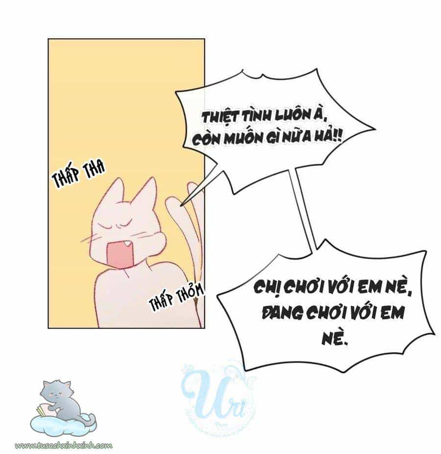 Nhật Ký Nấm Ma Cô - Chương 22 - ảnh 41