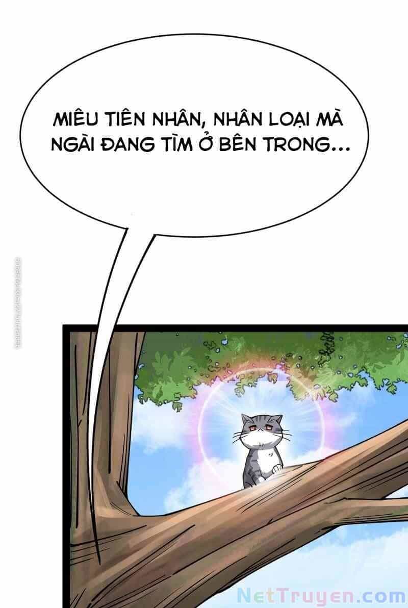 Nhật Ký Thường Ngày Của Tiên Vương - Chương 35 - ảnh 37