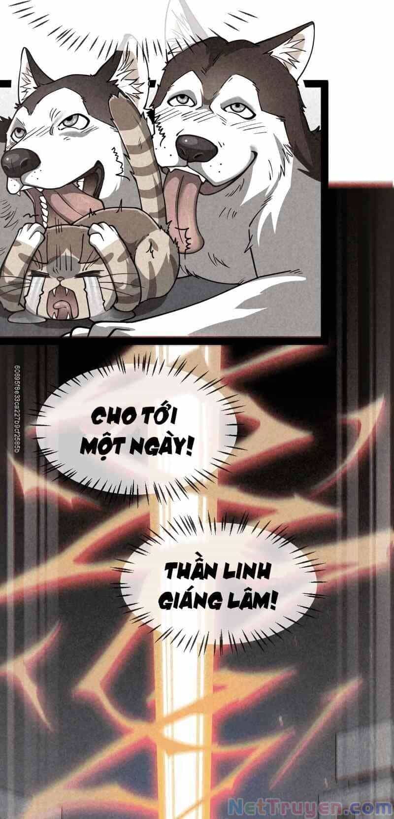 Nhật Ký Thường Ngày Của Tiên Vương - Chương 35 - ảnh 4