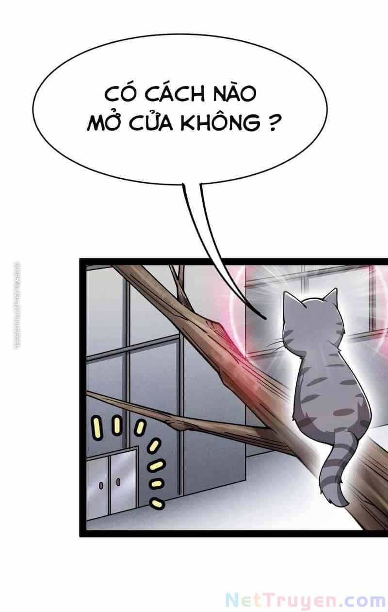 Nhật Ký Thường Ngày Của Tiên Vương - Chương 35 - ảnh 40