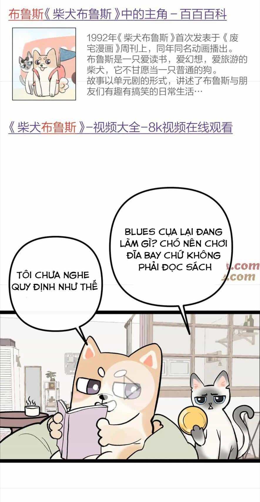 Nhật Ký Tình Yêu Hằng Ngày - Chương 13 - ảnh 10