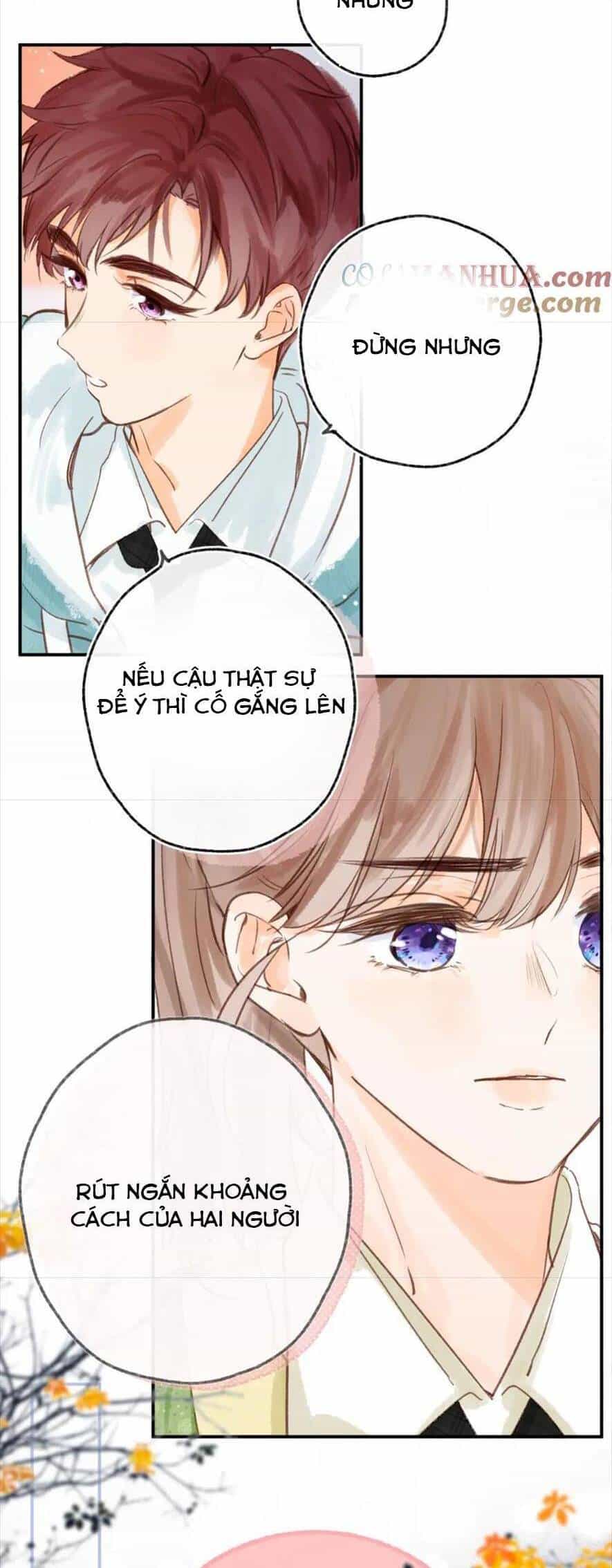Nhật Ký Tình Yêu Hằng Ngày - Chương 29 - ảnh 11