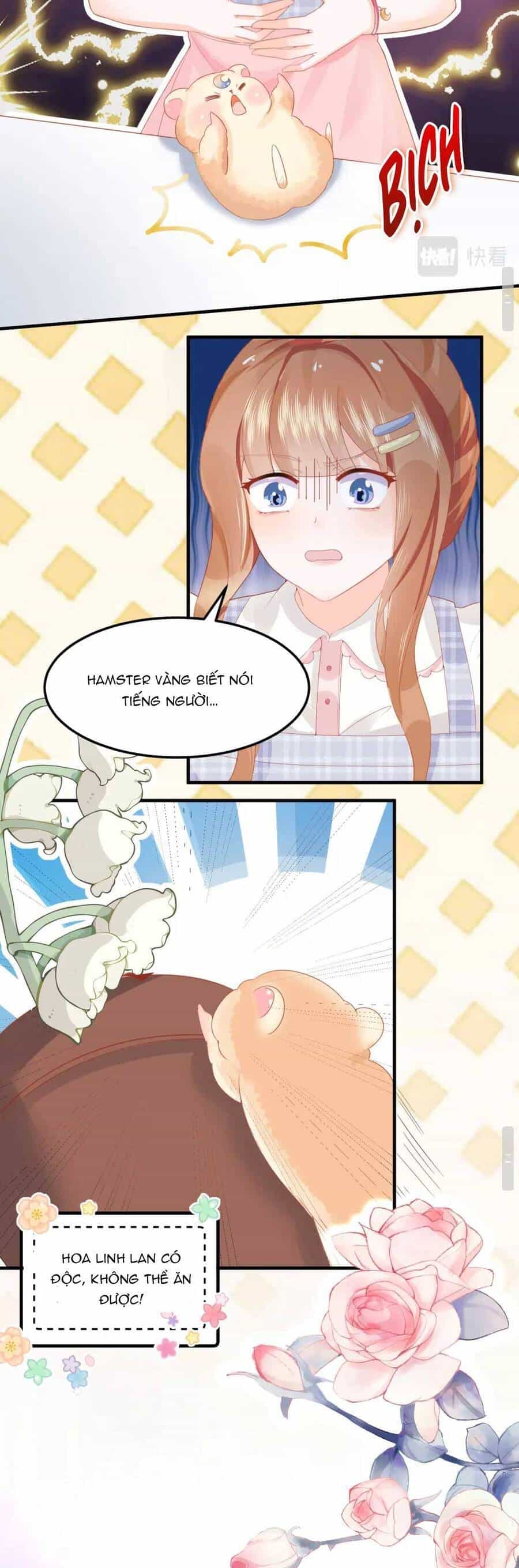 Nhặt Nuôi Hoàng Tử Chuột - Chương 1 - ảnh 14
