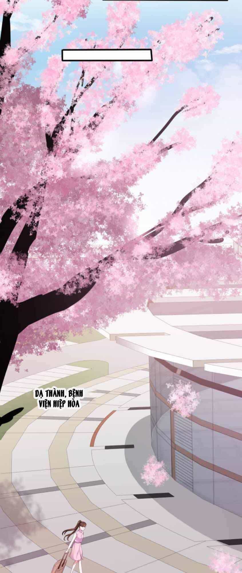 Nhất Sanh Hữu Hỉ - Chương 13 - ảnh 13