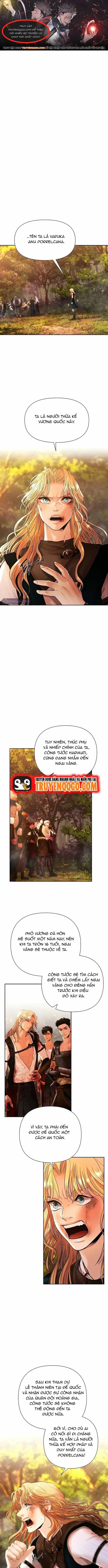Nhiệm Vụ Chiến Binh - Chương 31 - ảnh 1