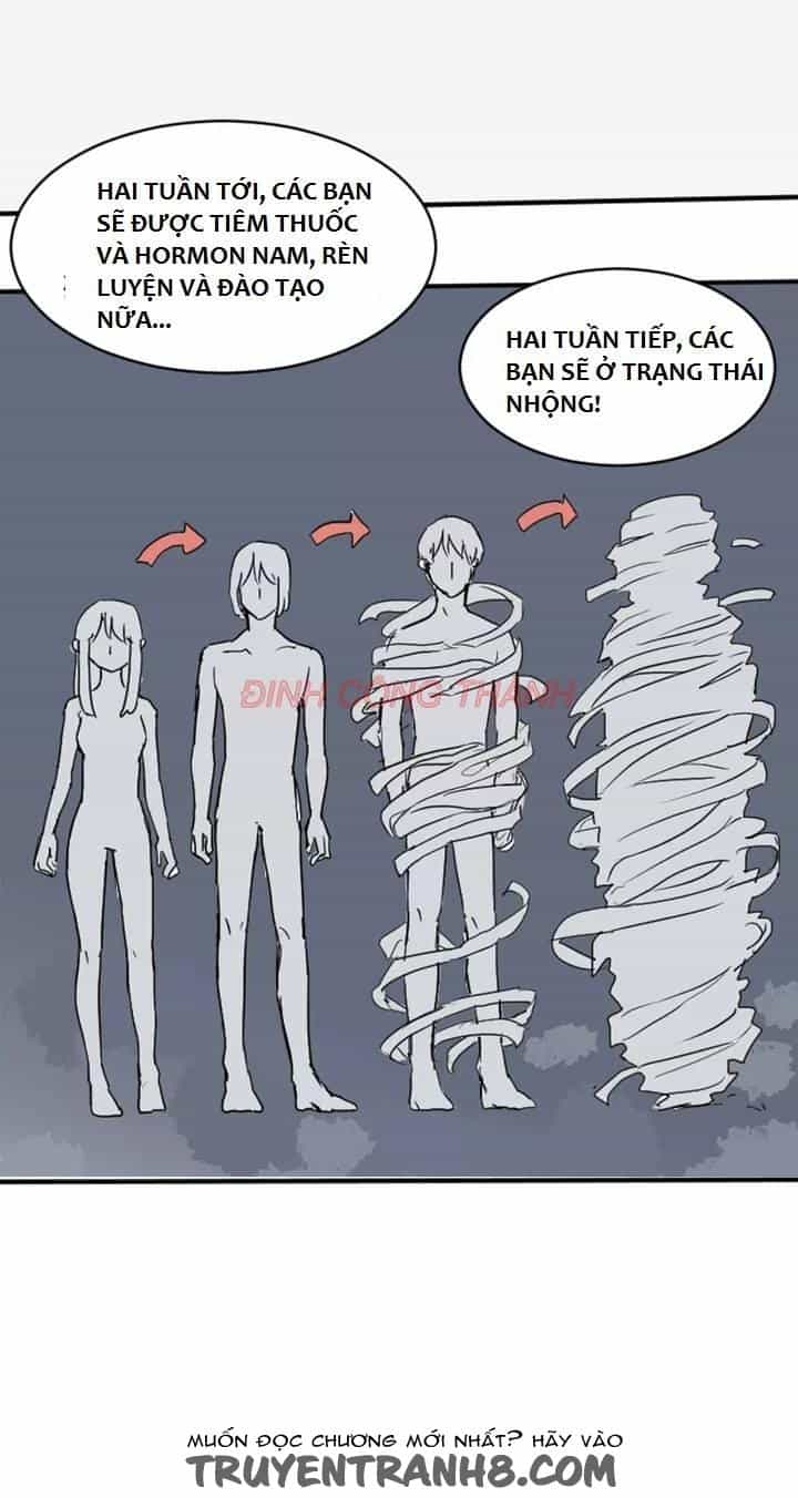 Nhộng - Chương 1 - ảnh 14