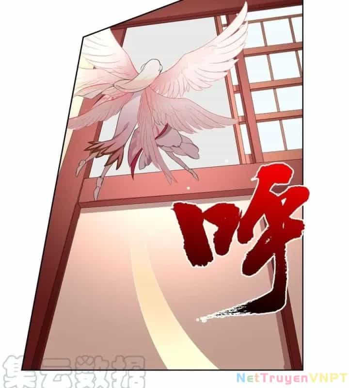 Như Loan - Chương 1 - ảnh 37