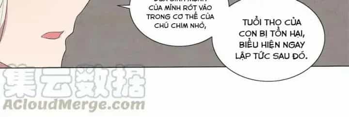 Như Loan - Chương 23 - ảnh 17