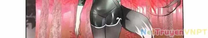 Như Loan - Chương 26 - ảnh 10