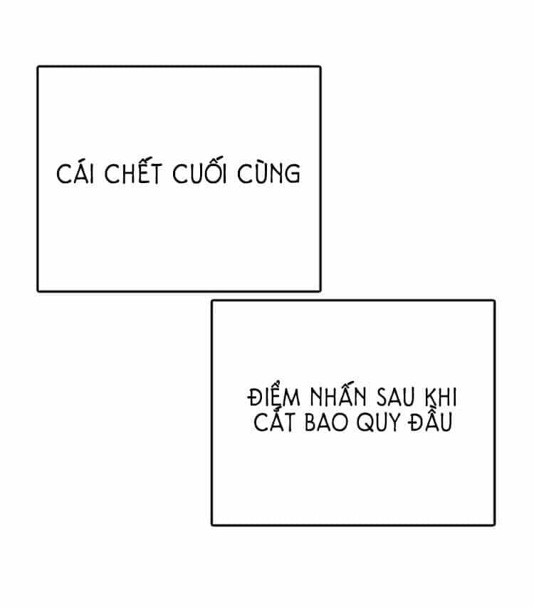 Những Mảnh Đời Tan Vỡ - Chương 21 - ảnh 103
