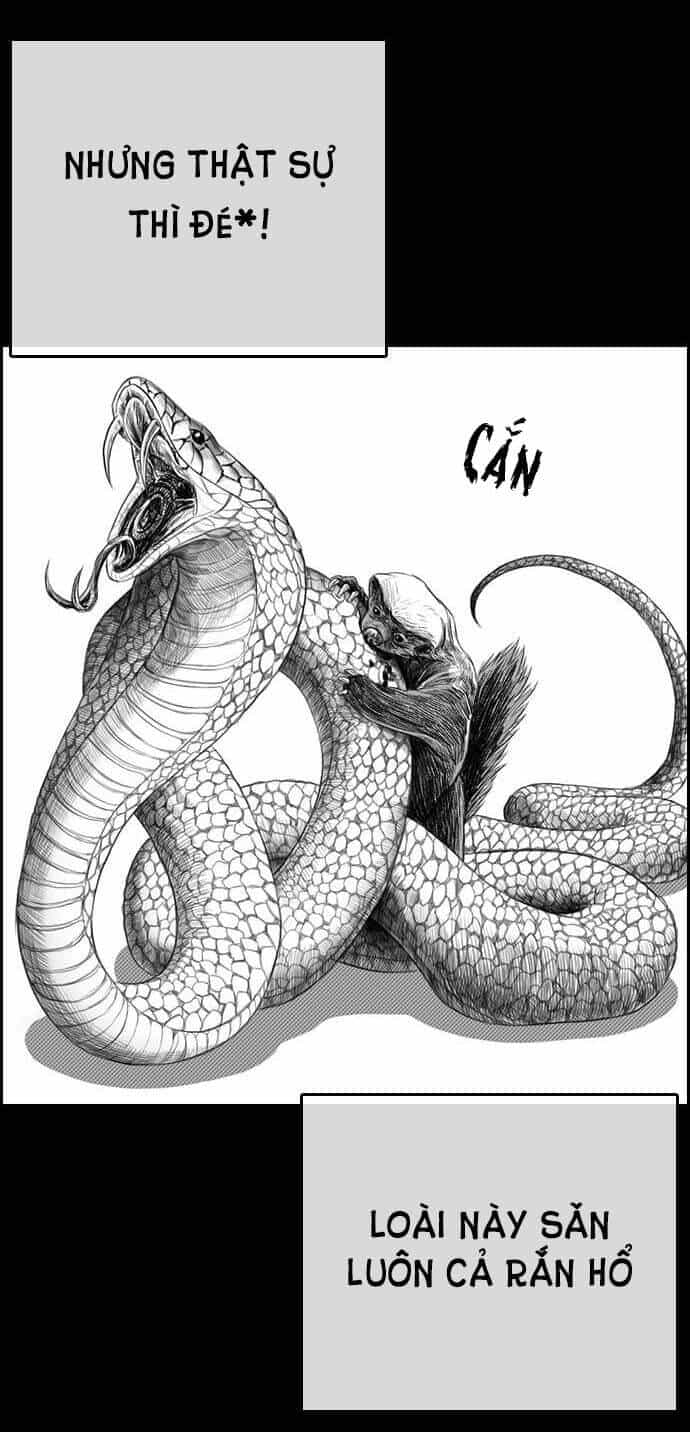 Những Mảnh Đời Tan Vỡ - Chương 4 - ảnh 5