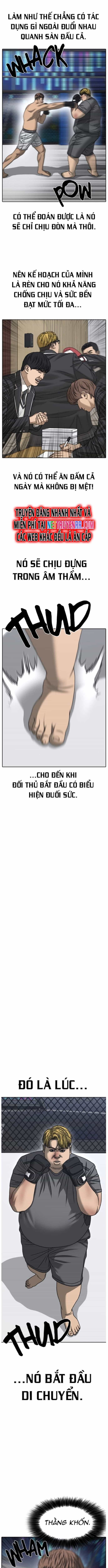 Những Mảnh Đời Tan Vỡ - Chương 74 - ảnh 12
