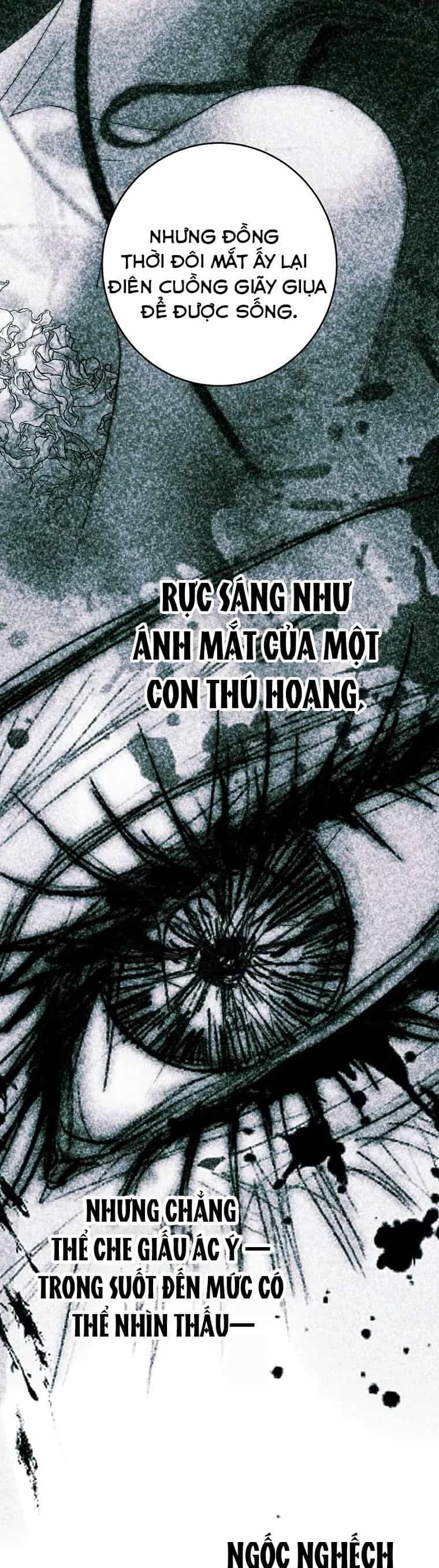 Những Mảnh Vỡ Của Giấc Mộng Thủy Tinh - Chương 30 - ảnh 25