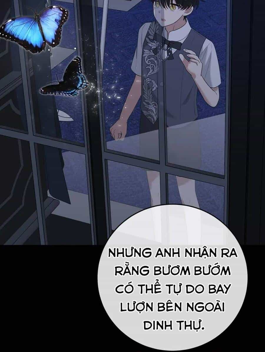 Những Người Anh Nguy Hiểm Của Công Nương - Chương 91 - ảnh 67