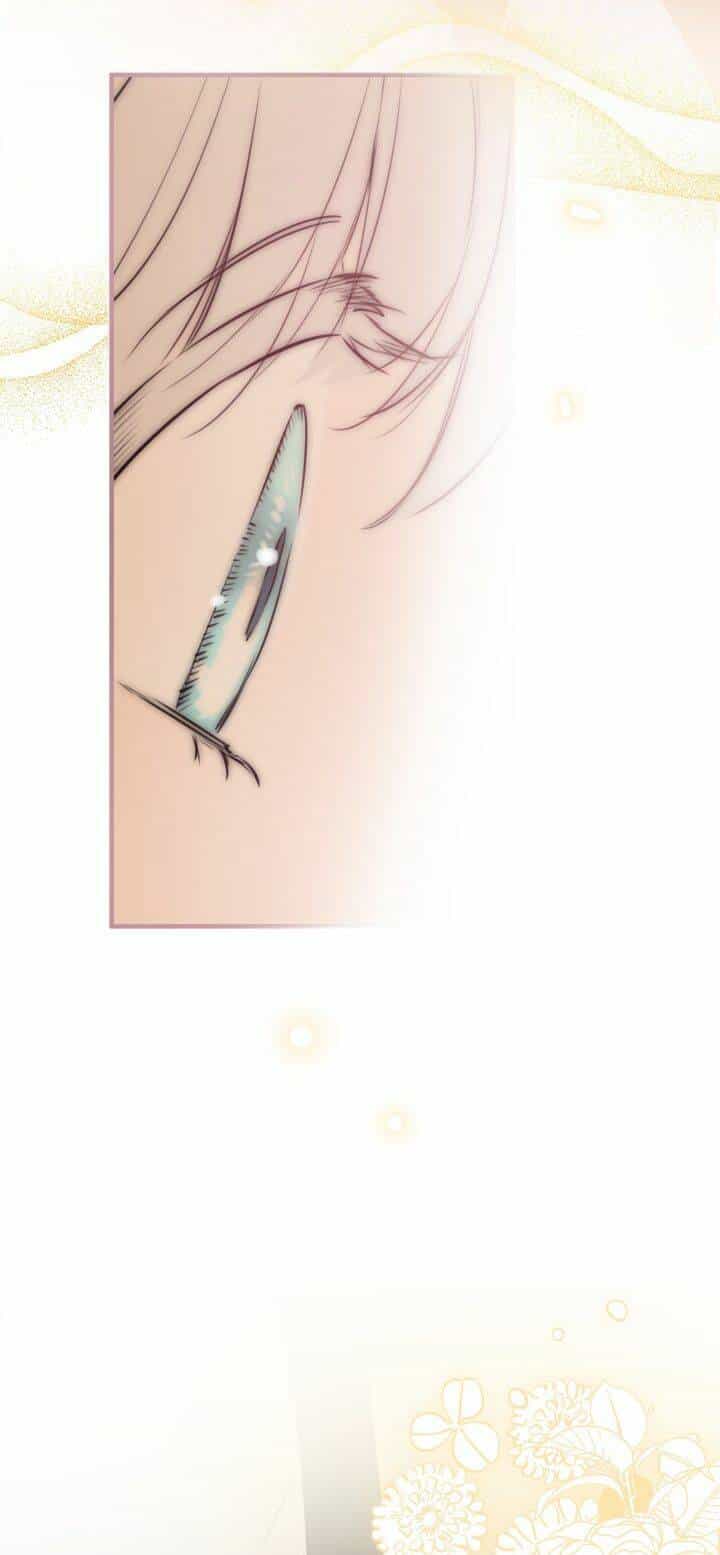 Những Nhân Vật Mạnh Nhất Thế Giới Ám Ảnh Tôi - Chương 50 - ảnh 44