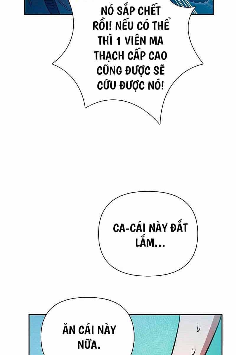 Những Ranker Cấp S Mà Tôi Nuôi Dưỡng - Chương 113 - ảnh 41