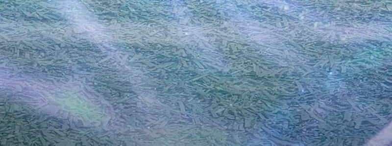 Những Ranker Cấp S Mà Tôi Nuôi Dưỡng - Chương 146 - ảnh 40