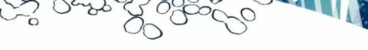 Những Ranker Cấp S Mà Tôi Nuôi Dưỡng - Chương 171 - ảnh 146