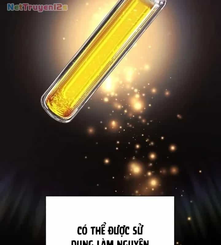 Những Ranker Cấp S Mà Tôi Nuôi Dưỡng - Chương 175 - ảnh 17
