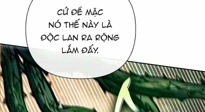 Những Ranker Cấp S Mà Tôi Nuôi Dưỡng - Chương 178 - ảnh 171