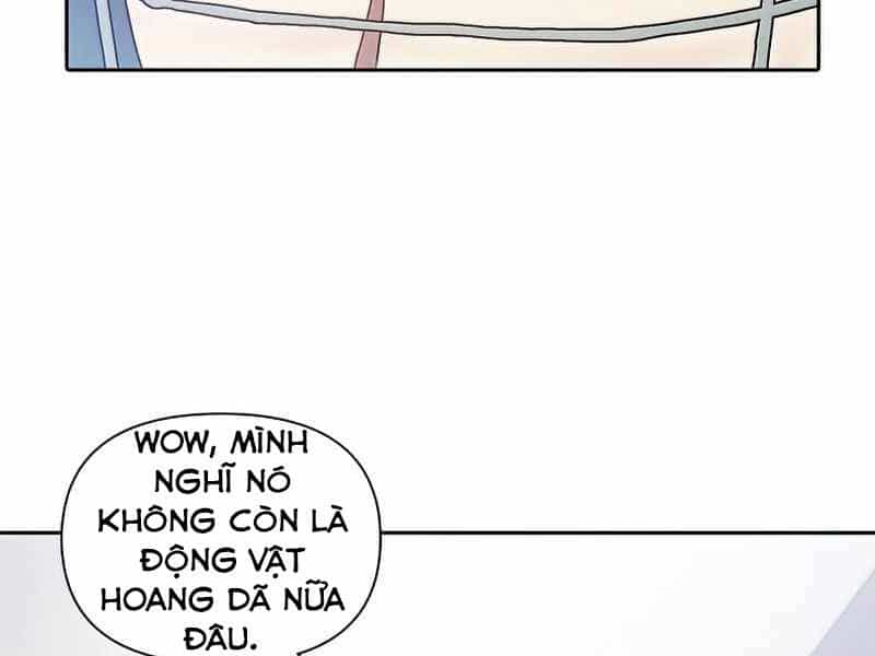 Những Ranker Cấp S Mà Tôi Nuôi Dưỡng - Chương 26 - ảnh 13
