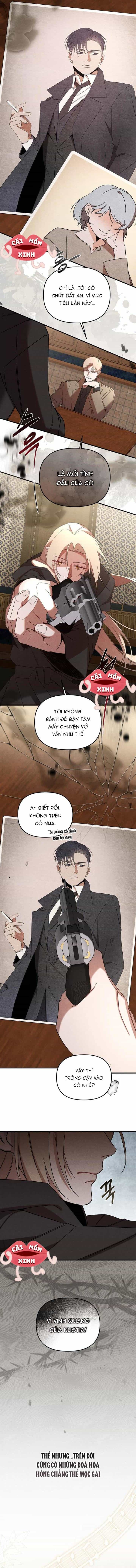 Nơi Đóa Hồng Vàng Úa Tàn - Chương 0 - ảnh 5