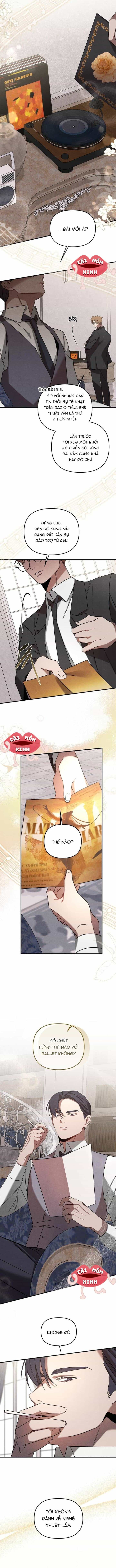 Nơi Đóa Hồng Vàng Úa Tàn - Chương 0 - ảnh 6