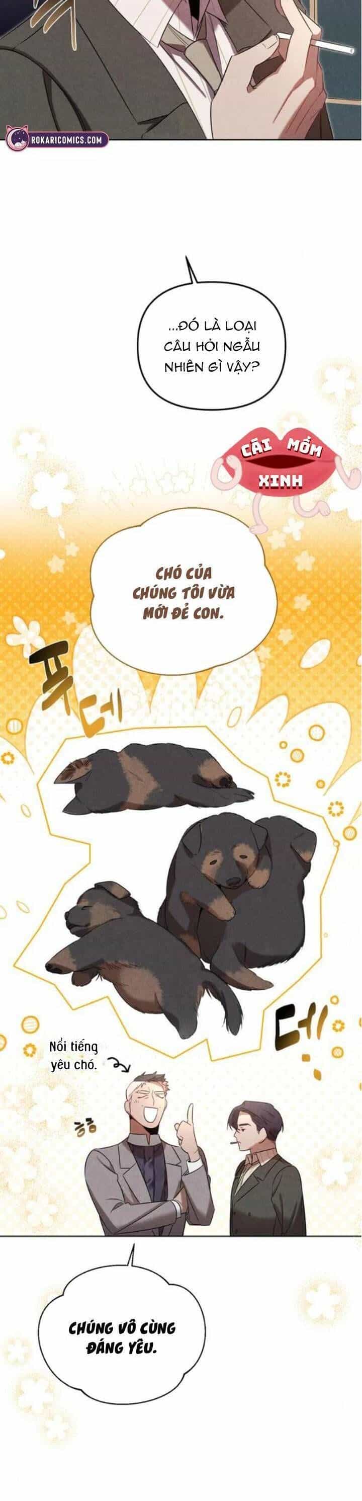 Nơi Đóa Hồng Vàng Úa Tàn - Chương 13 - ảnh 36