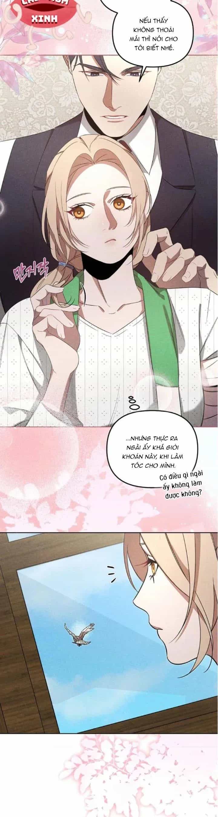 Nơi Đóa Hồng Vàng Úa Tàn - Chương 17 - ảnh 16