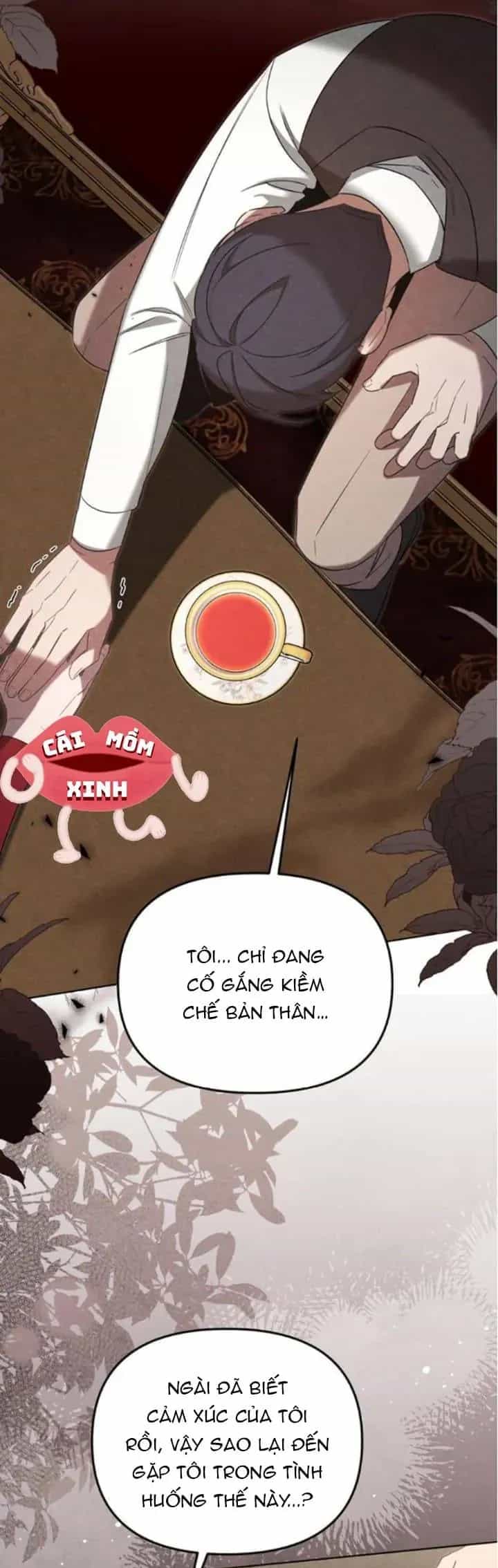 Nơi Đóa Hồng Vàng Úa Tàn - Chương 20 - ảnh 36