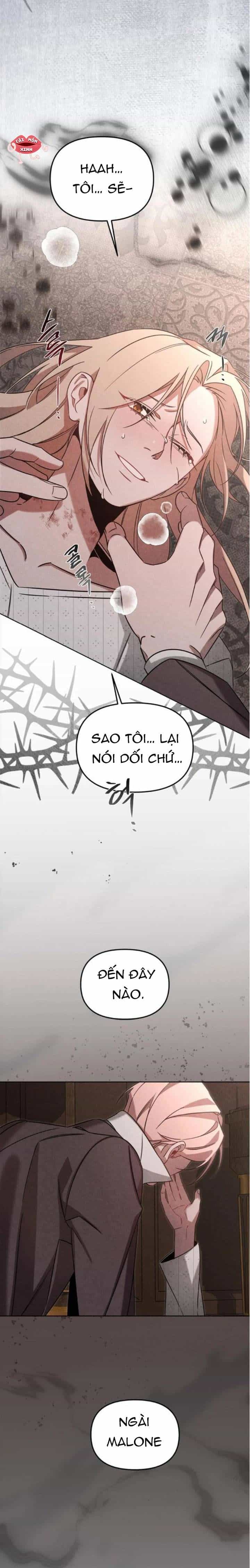 Nơi Đóa Hồng Vàng Úa Tàn - Chương 21 - ảnh 17