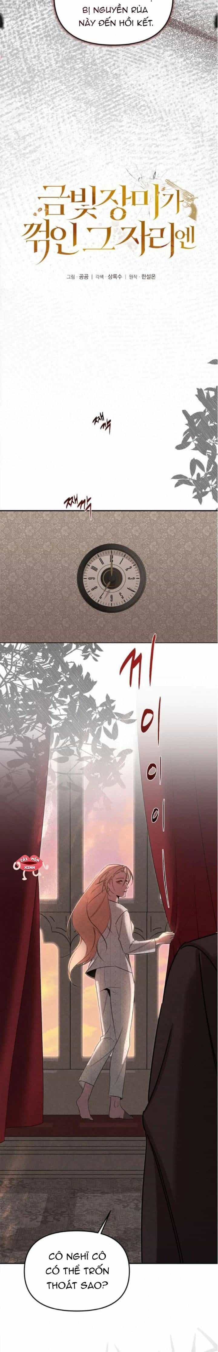 Nơi Đóa Hồng Vàng Úa Tàn - Chương 21 - ảnh 6