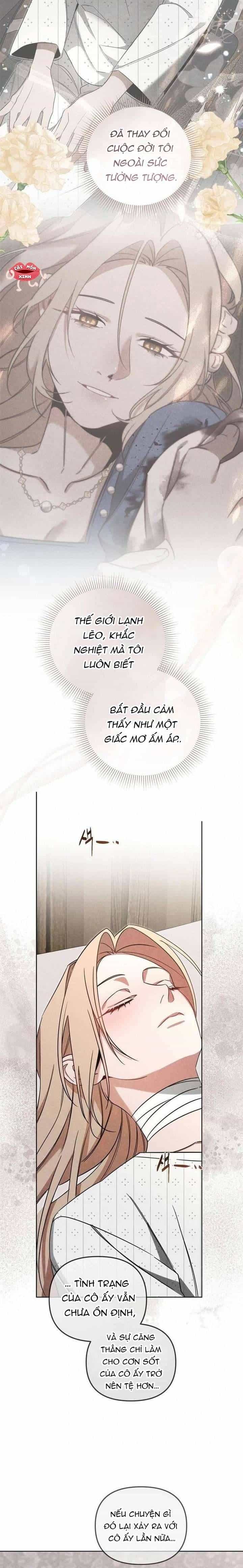 Nơi Đóa Hồng Vàng Úa Tàn - Chương 22 - ảnh 6