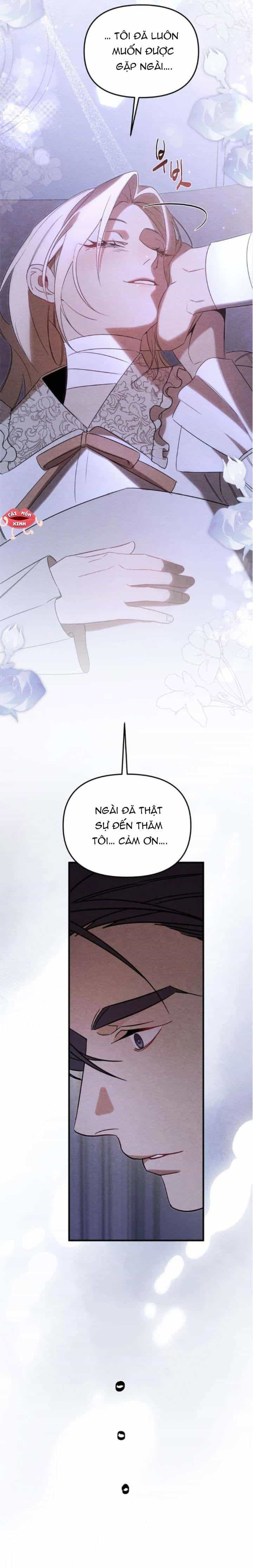 Nơi Đóa Hồng Vàng Úa Tàn - Chương 23 - ảnh 17