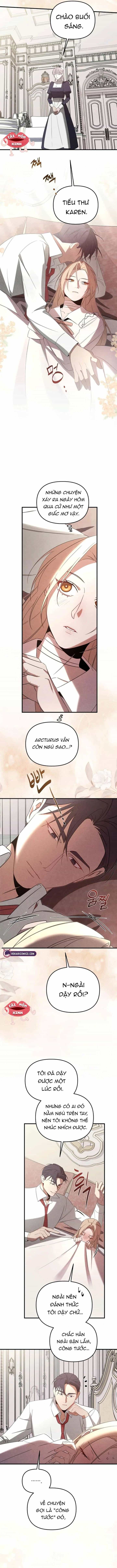 Nơi Đóa Hồng Vàng Úa Tàn - Chương 24 - ảnh 10