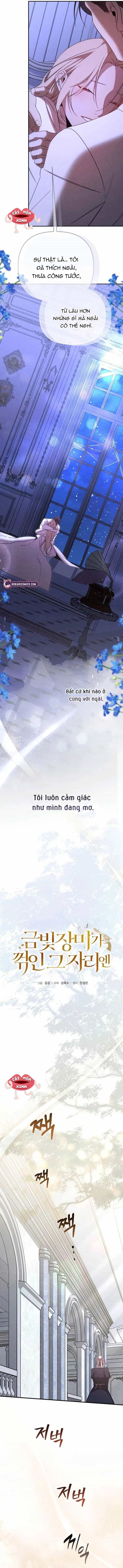 Nơi Đóa Hồng Vàng Úa Tàn - Chương 24 - ảnh 9