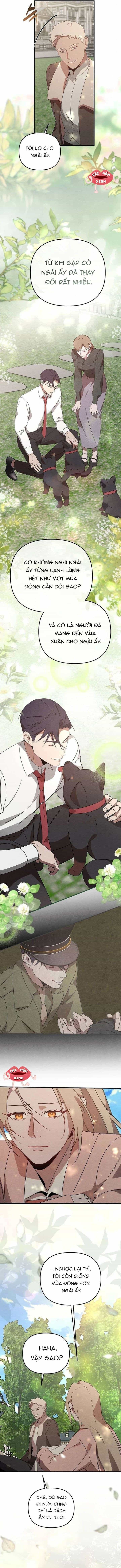 Nơi Đóa Hồng Vàng Úa Tàn - Chương 25 - ảnh 7