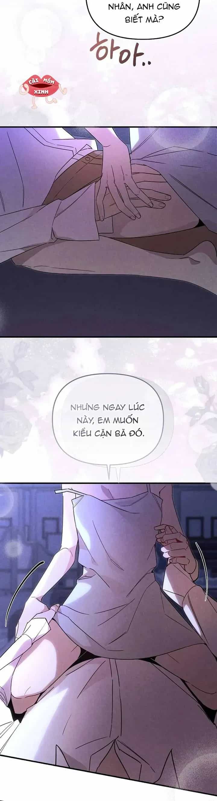Nơi Đóa Hồng Vàng Úa Tàn - Chương 27 - ảnh 16