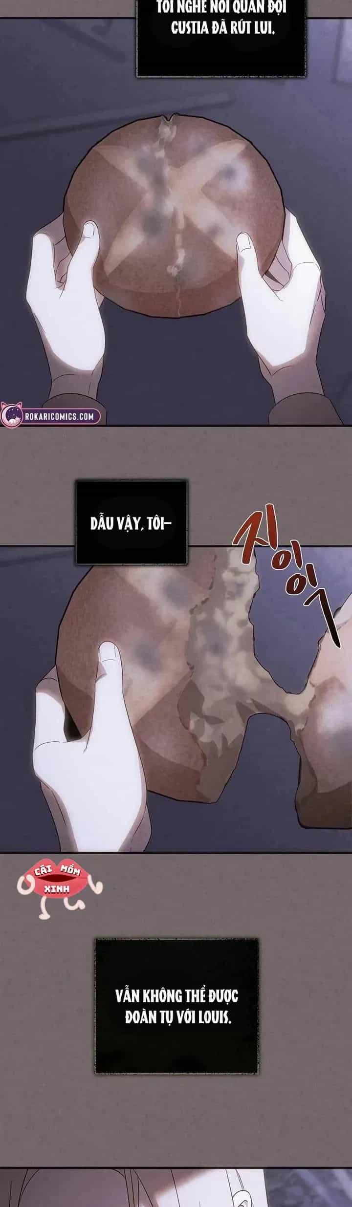 Nơi Đóa Hồng Vàng Úa Tàn - Chương 28 - ảnh 17